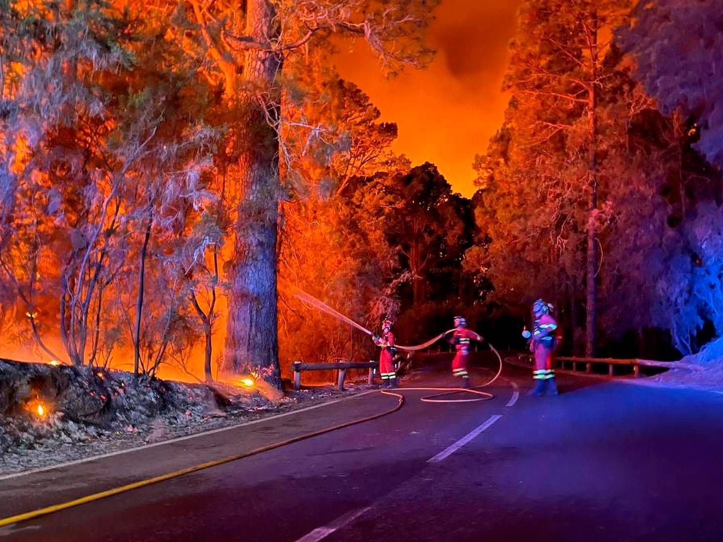 Den spanske ferieø Tenerife har været hårdt ramt af skovbrande. Billedet stammer fra den 17. august og udleveret af det spanske forsvarsministerium. | Foto: Handout/AFP/Ritzau Scanpix