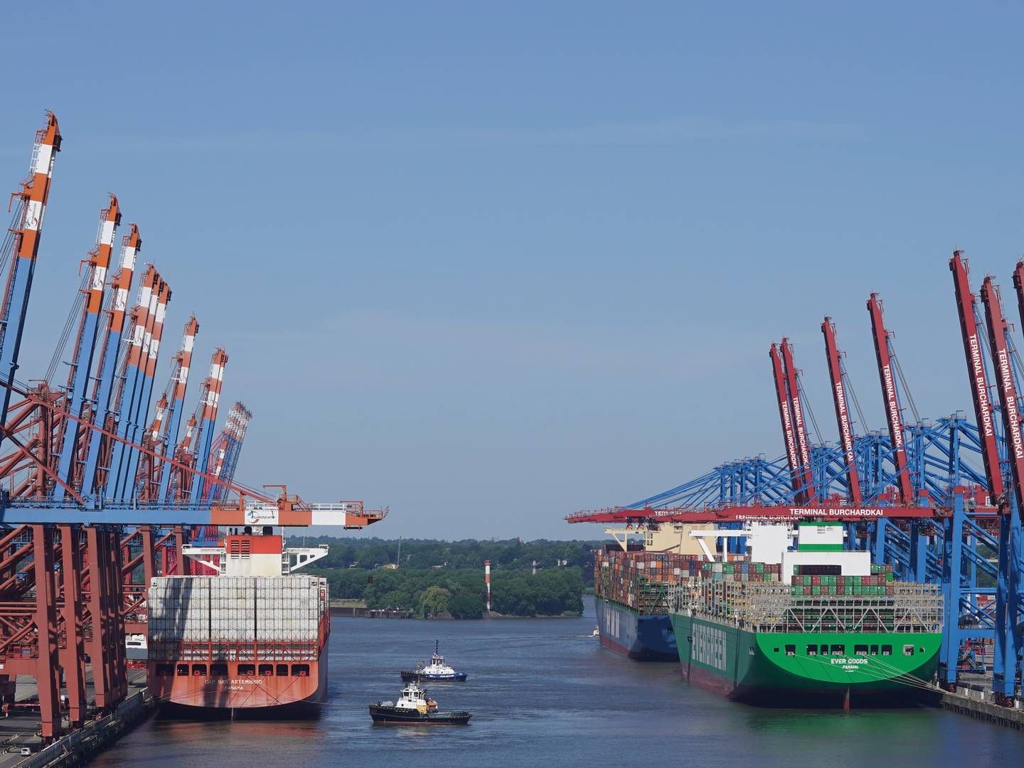 ”De fortsat udfordrende økonomiske og geopolitiske omstændigheder gør det umuligt at komme med sikre forudsigelser om udviklingen i godsmængderne i Hamborg Havn,” siger havnedirektør Axel Mattern om andet halvår. | Foto: Marcus Brandt/AP/Ritzau Scanpix