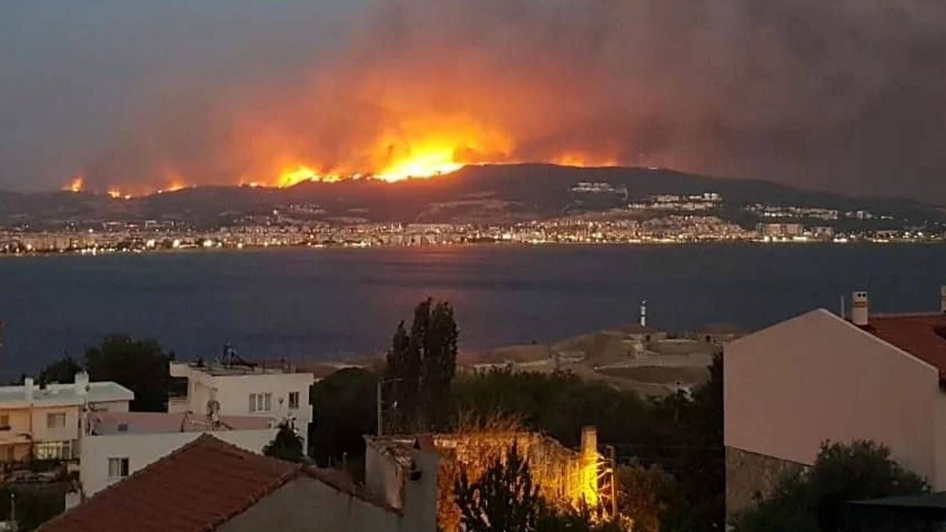 A wildfire burns in Canakkale, Türkiye, Aug. 22, 2023 (Ritzau Scanpix). | Photo: Stringer/Reuters/Ritzau Scanpix