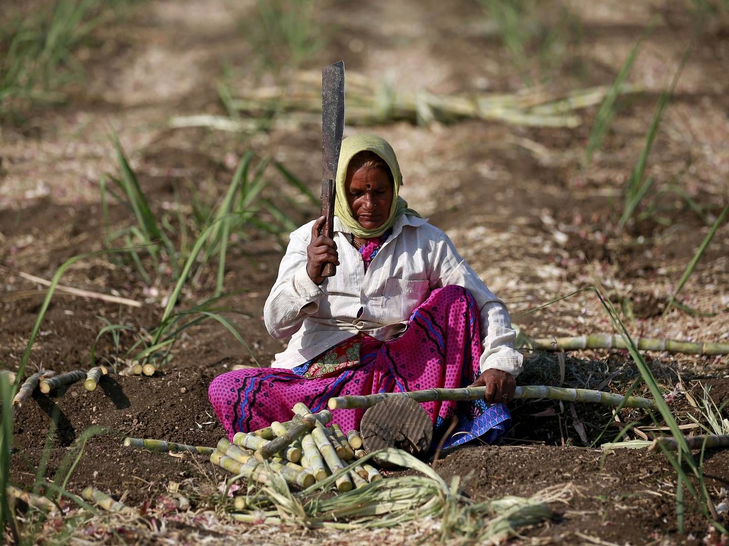 Foto: Danish Siddiqui/Reuters/Ritzau Scanpix