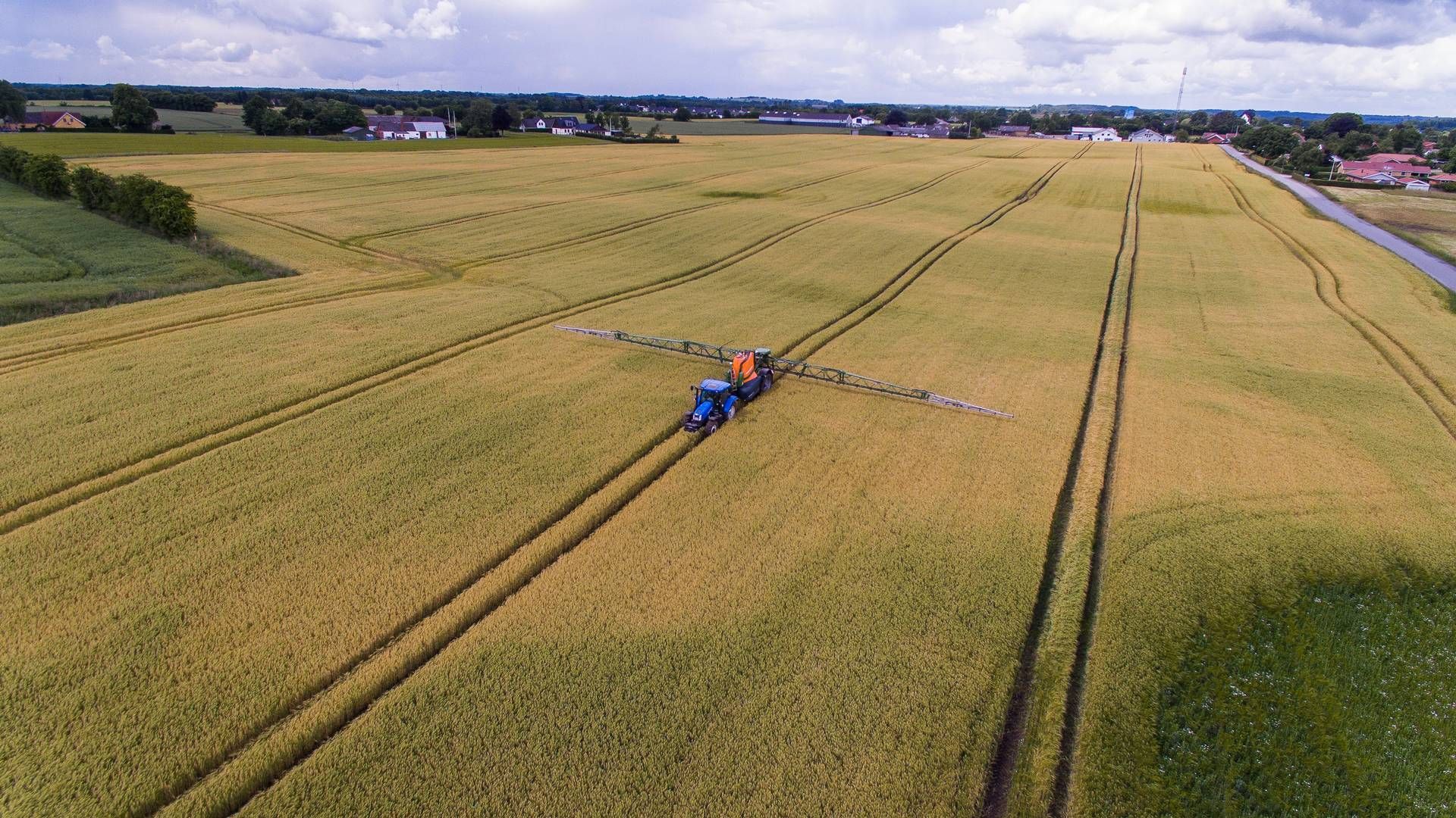 Landbruget er den sektor, DLR Kredit låner flest penge ud til. | Foto: Benny Kjølhede