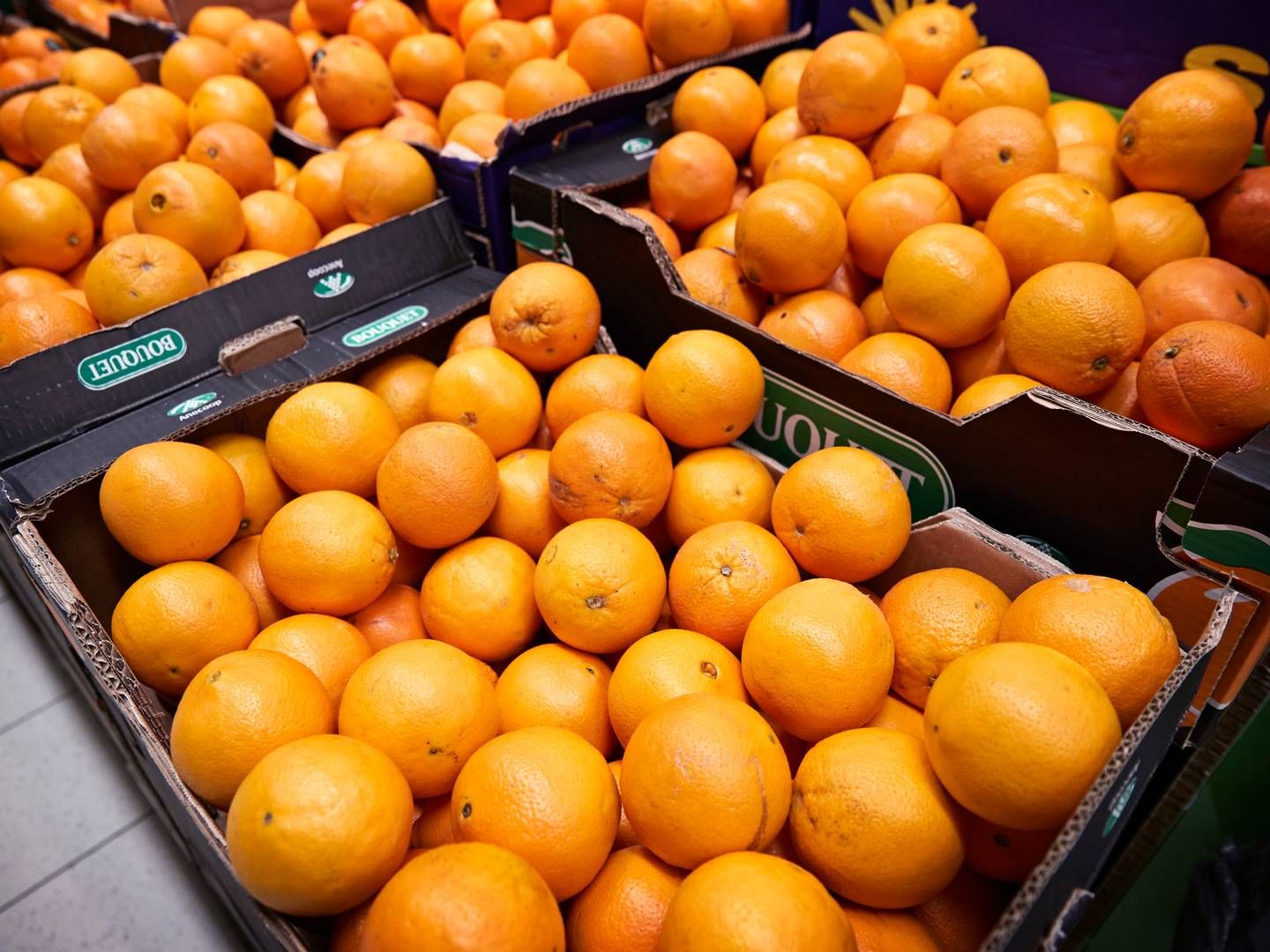 Ifølge Mark Hemmingsen, adm. direktør i Rynkeby Foods, er en af de eneste løsninger at sælge mindre appelsinjuice og i stedet flytte salget til andre produkter. | Foto: Jens Dresling