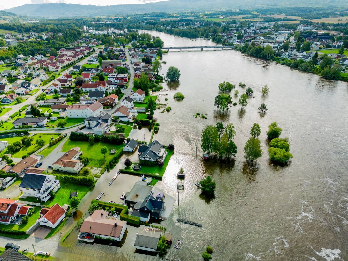 Drammenselva gikk over sine bredder i august og forårsaket mange vannskader. | Foto: Stian Lysberg Solum / NTB