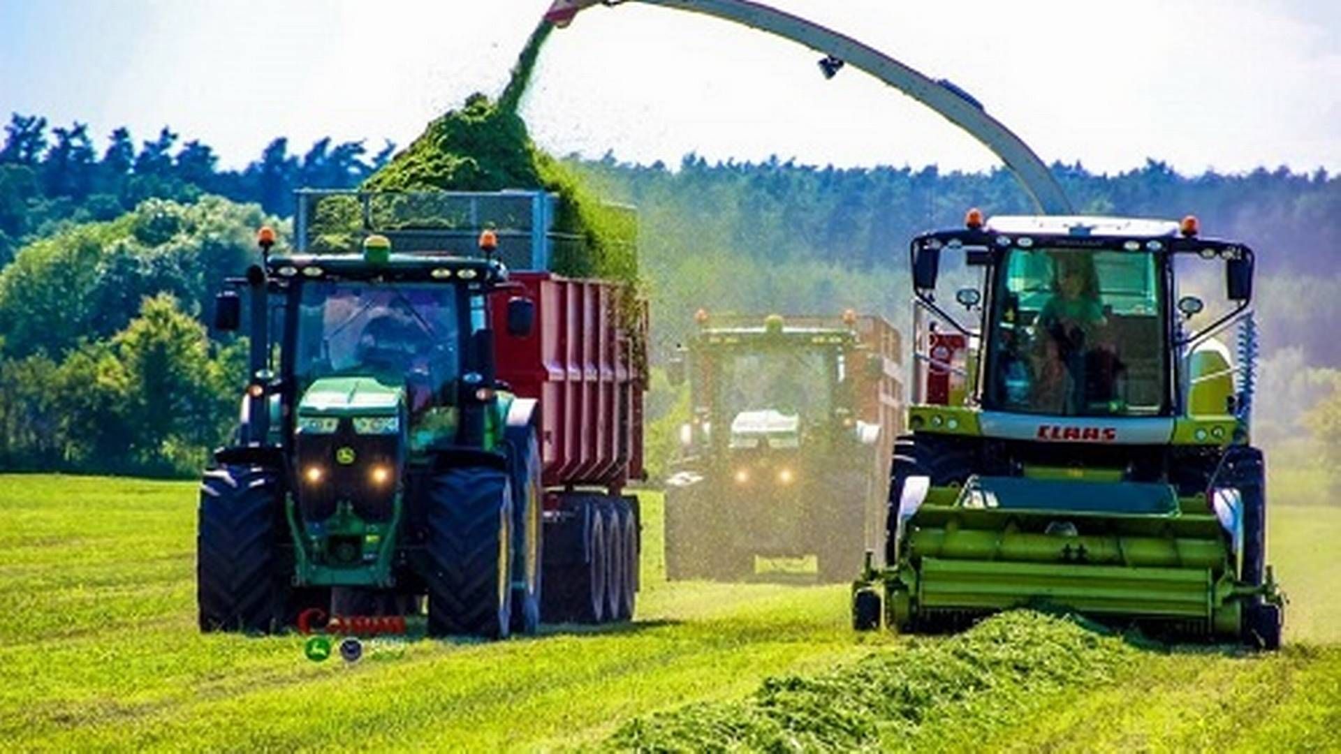 Firstfarms har den seneste tid invesreret massivt i ungarsk svineproduktion. | Foto: Firstfarms/pr