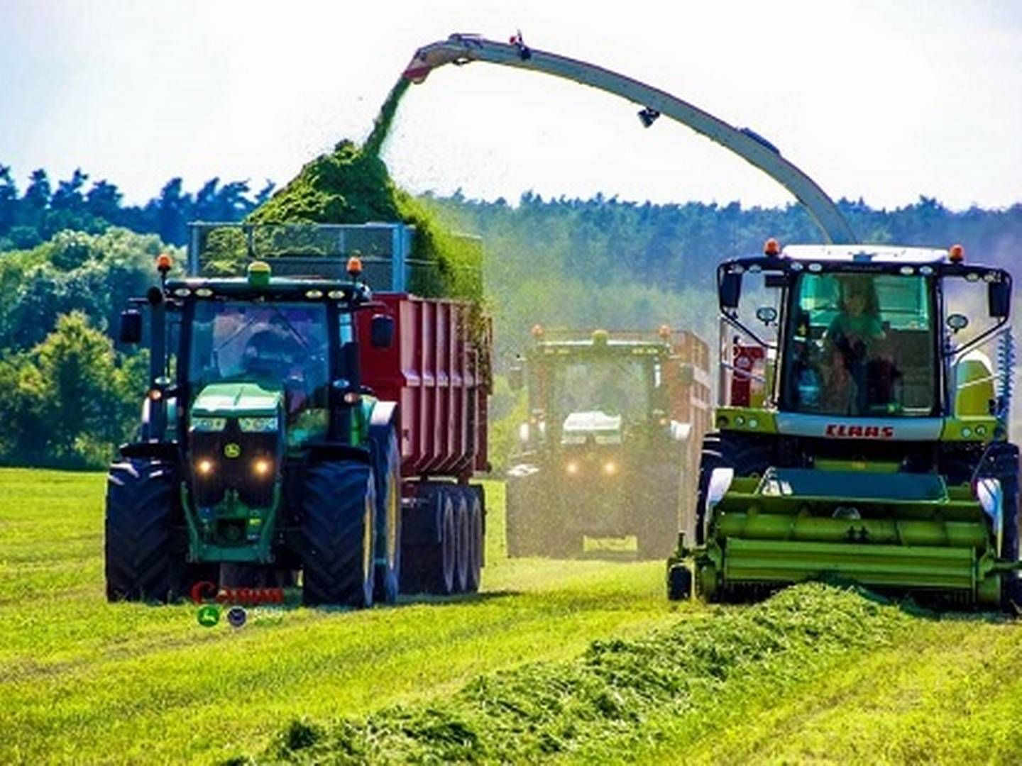 Firstfarms har den seneste tid invesreret massivt i ungarsk svineproduktion. | Foto: Firstfarms/pr