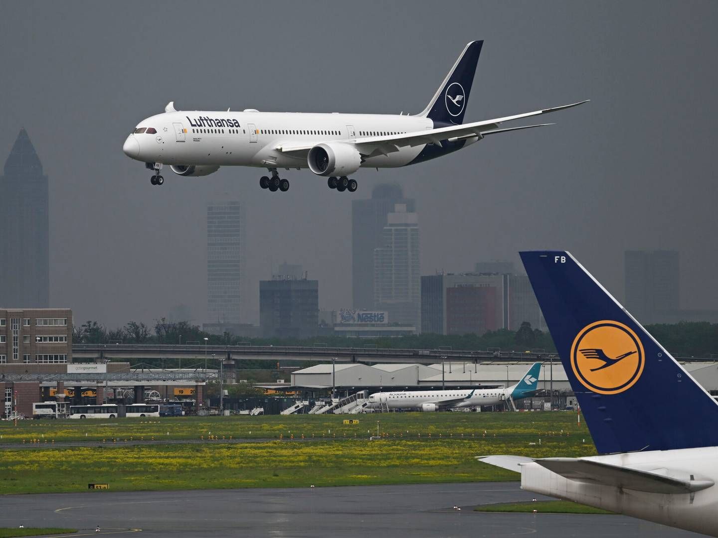 En repræsentant for Lufthansa har afvist at kommentere på det mulige salg af flyselskabets virksomheder Delvag og Albatros. | Foto: Arne Dedert/AP/Ritzau Scanpix