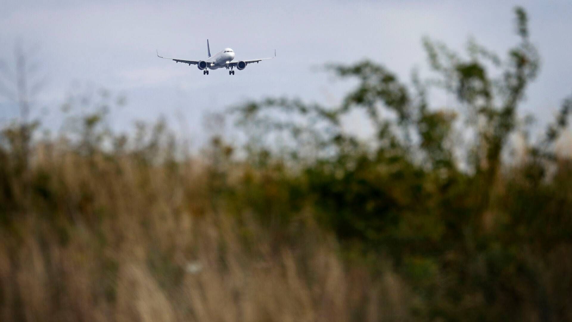 Blandt andet svarer ca. en tredjedel af de danske piloter, at de ikke har nok tid til at hvile mellem flyvninger. | Foto: Jens Dresling/Ritzau Scanpix