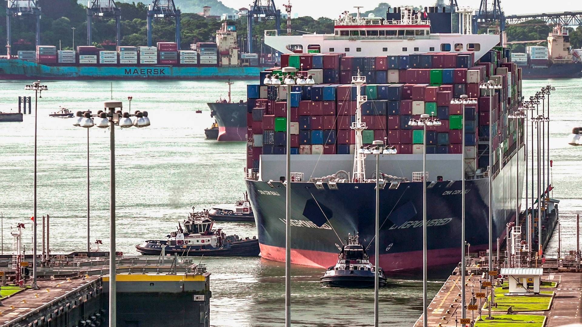 Containerskibene har ifølge Bimco ikke været ramt af de store forsinkelser ved Panamakanalen. | Foto: Ivan Pisarenko/AFP/Ritzau Scanpix