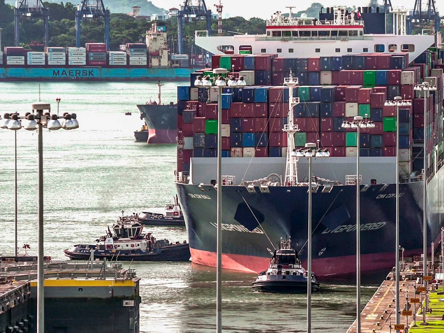 Containerskibene har ifølge Bimco ikke været ramt af de store forsinkelser ved Panamakanalen. | Foto: Ivan Pisarenko/AFP/Ritzau Scanpix