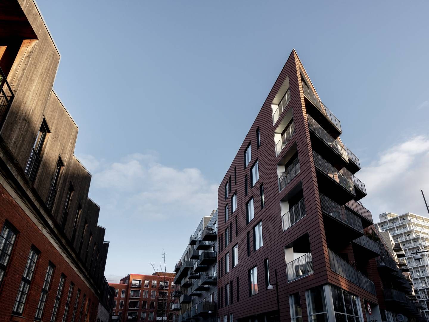 Donatzky & Partnere holder til i Nordhavn i København. | Foto: Mads Nissen