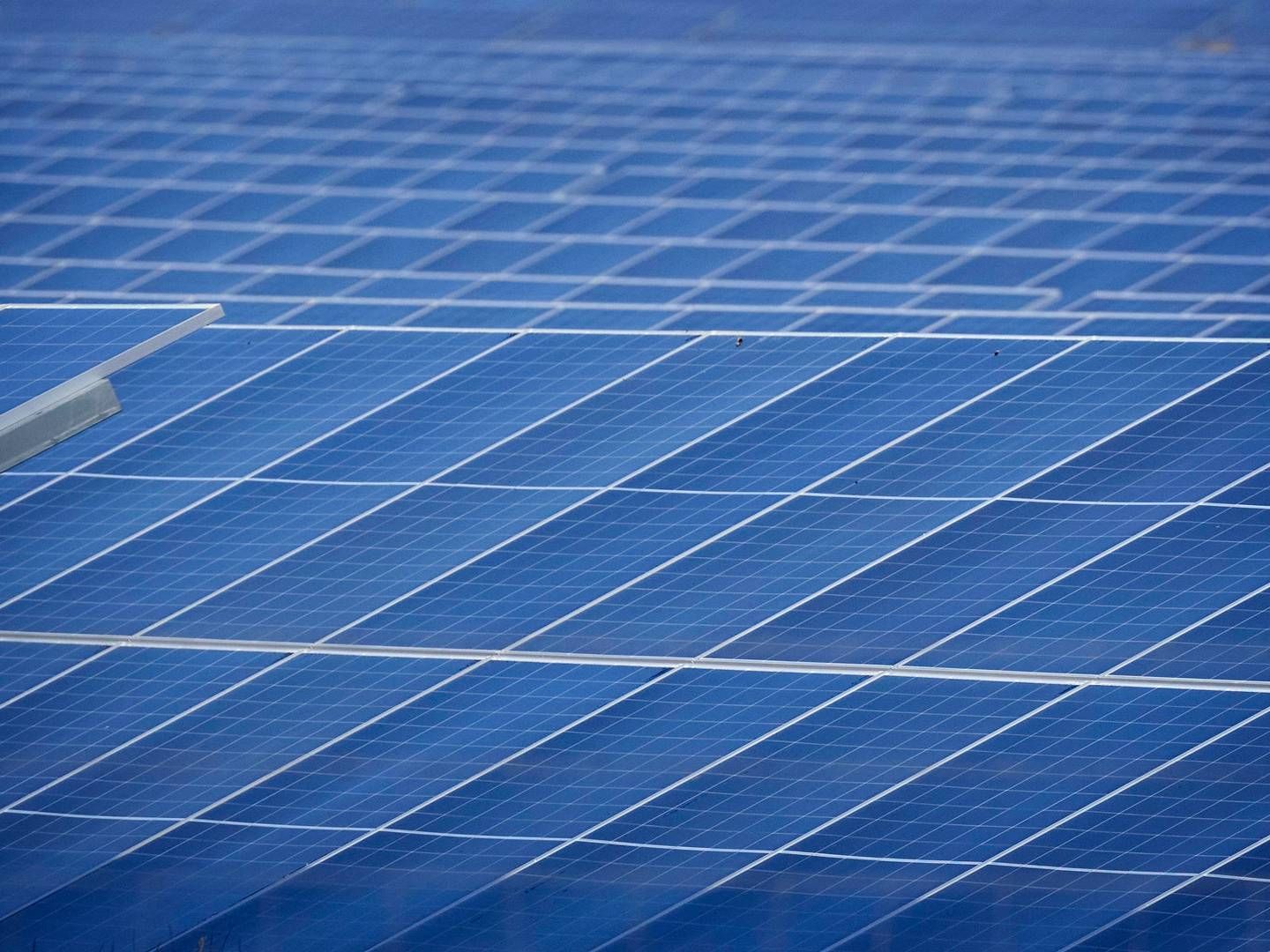 13 GW: Å Energi og selskapet Solutvikling vil bygge 13 GW solkraftverk. | Photo: Jens Dresling
