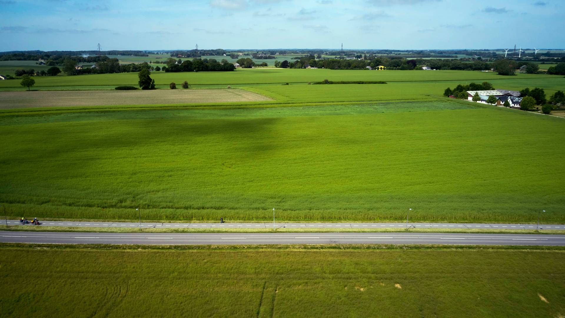 Landbrugsstøtten fylder dog stadig procentvis mere end gennemsnittet i EU, melder Danmarks Statistik. | Foto: Jens Dresling