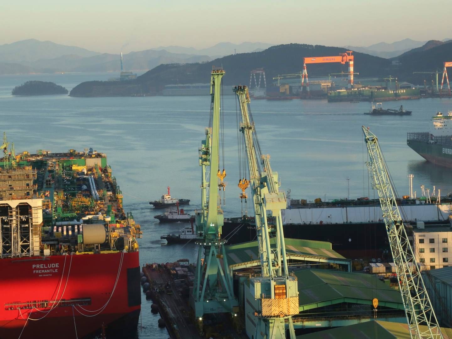 Arkivfoto af skibsværft i Sydkorea. | Foto: Handout/Reuters/Ritzau Scanpix