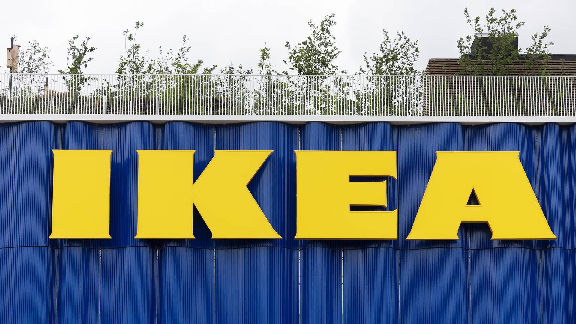 Ikea har i dag seks varehuse i Danmark, efter kæden i august åbnede sit nye city-varehus i København. | Foto: Thomas Borberg