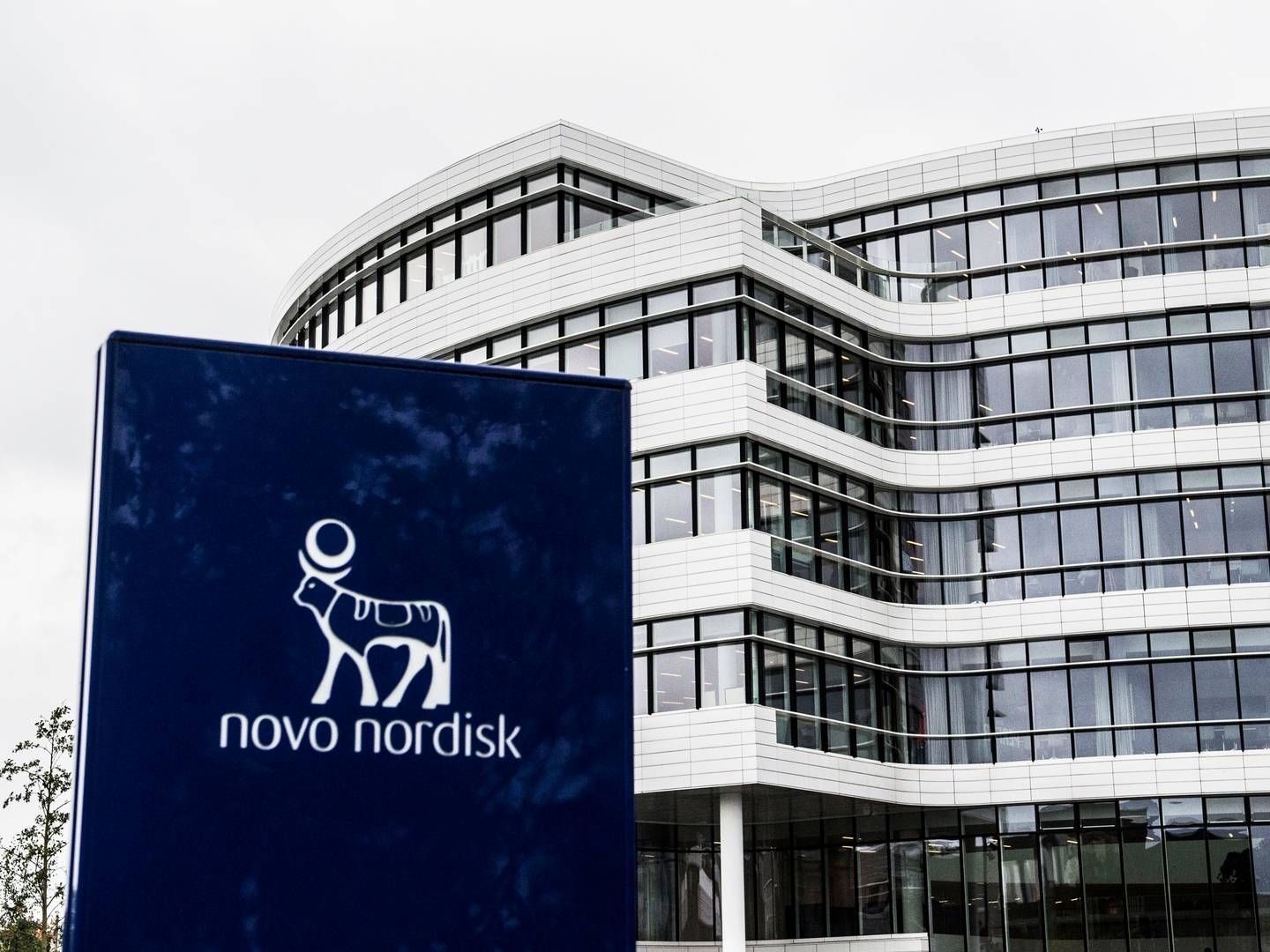 Novo Nordisk and the Broad Institute of MIT and Harvard have entered into a strategic research collaboration to develop three drug programs in subtypes of type 2 diabetes and the heart disease cardiac fibrosis over the next three years. | Photo: Tidsvilde Stine/Ritzau Scanpix