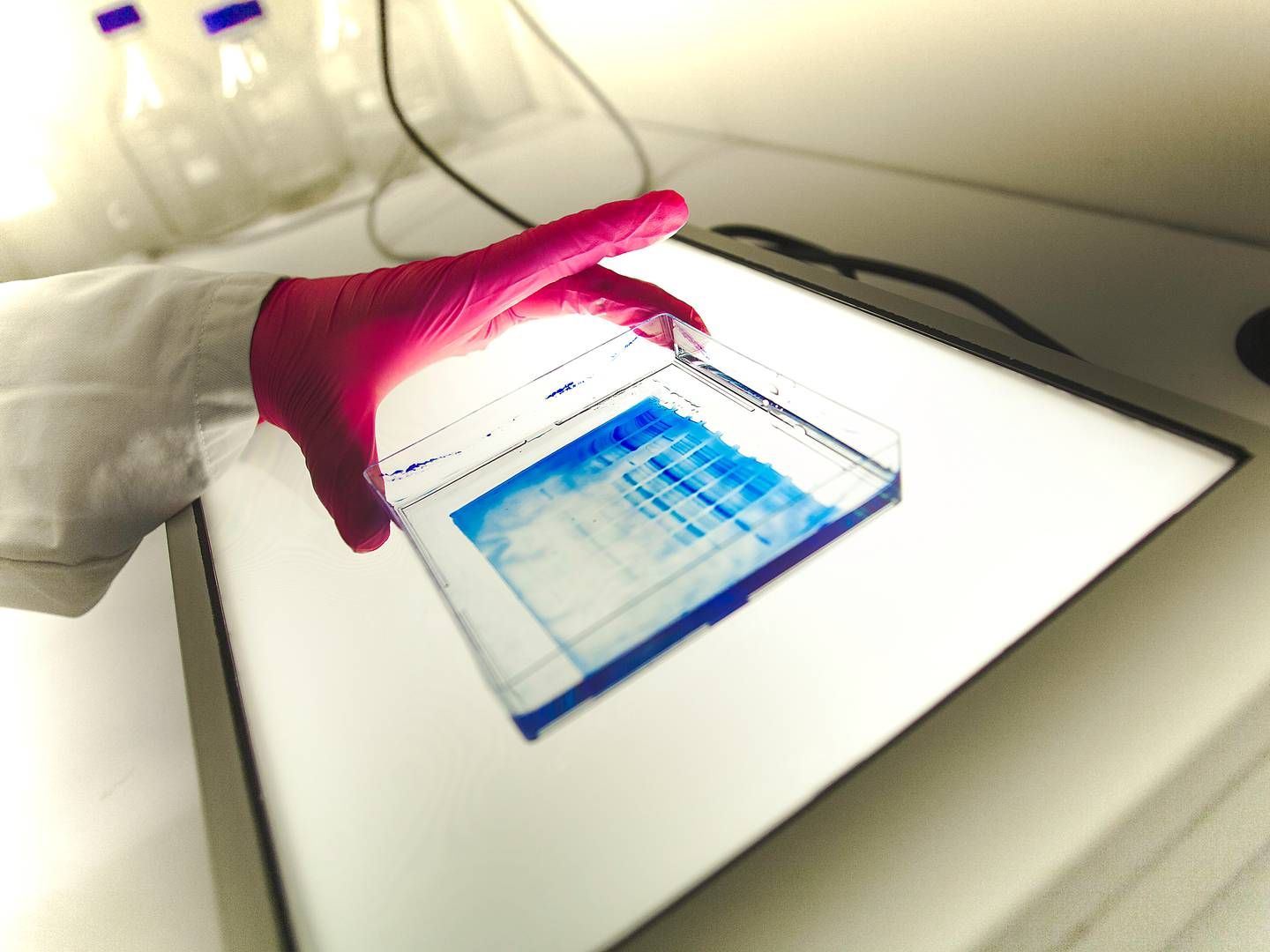 Foto: Expres2ion Biotechnologies / Pr
