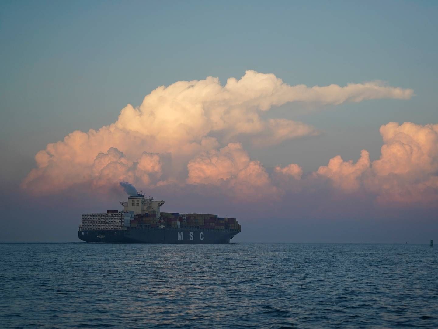 MSC er verdens største contanerrederi. Billedet viser ikke det omtalte skibet, men istedet skibet MSC Tokyo. | Foto: Aaron Jackson/AP/Ritzau Scanpix