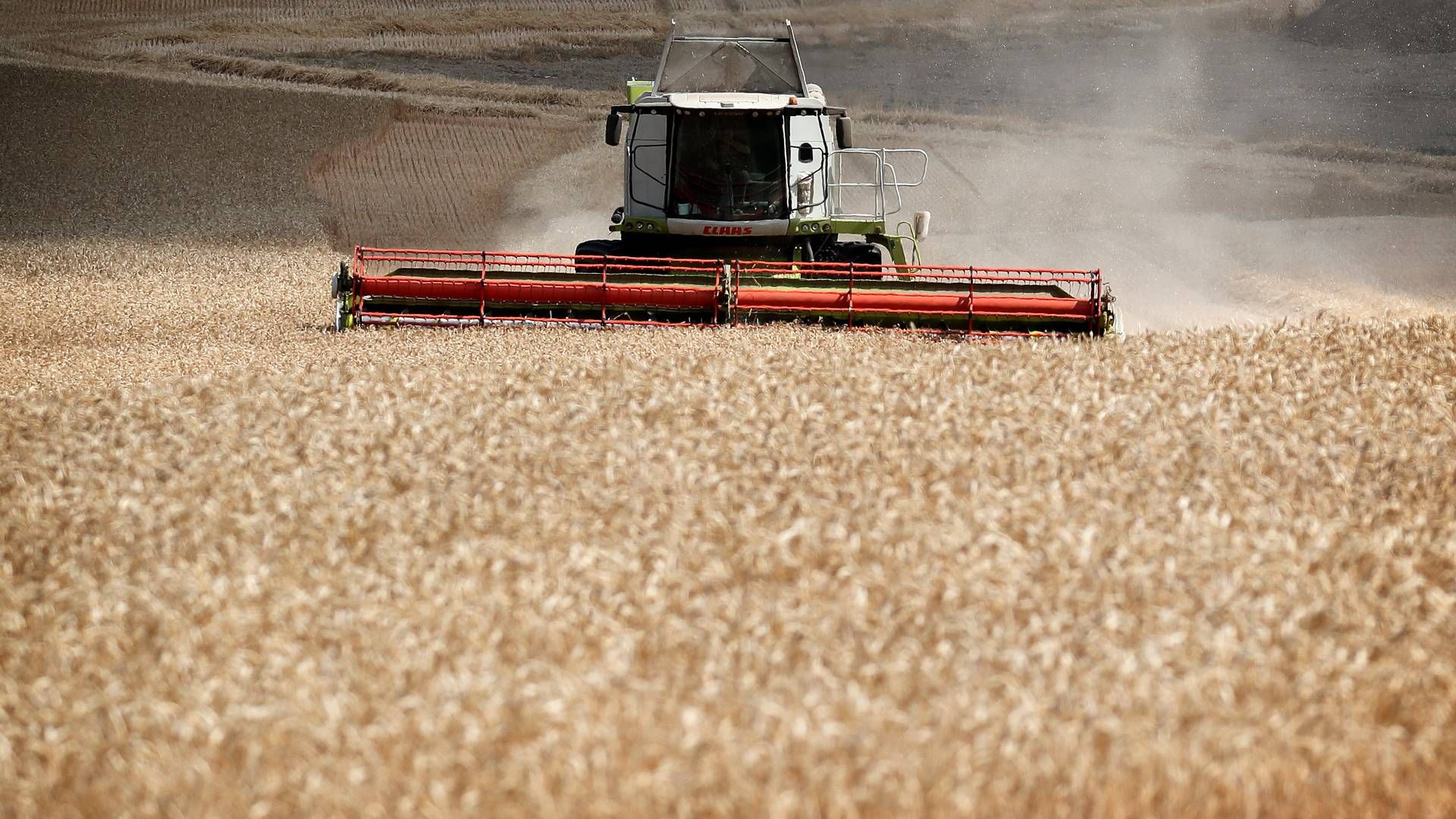 Prisen på korn og andre landbrugsråvarer fortsætter med at falde på råvarebørserne. | Foto: Jens Dresling