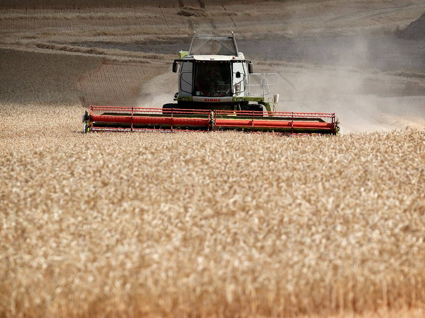 Prisen på korn og andre landbrugsråvarer fortsætter med at falde på råvarebørserne. | Foto: Jens Dresling