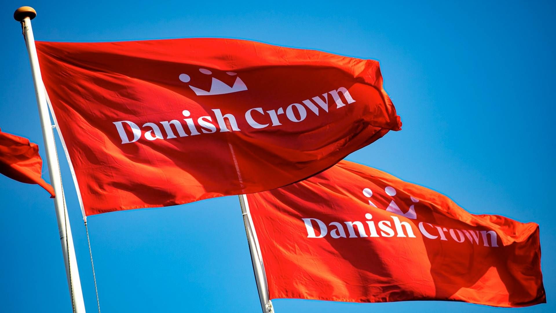 Slagteri- og kødkoncernen Danish Crown er blevet stævnet for brug af udsagnet ”Dansk gris er mere klimavenlig, end du tror” og betegnelsen ”Klimakontrolleret gris”. | Foto: Danish Crown / PR