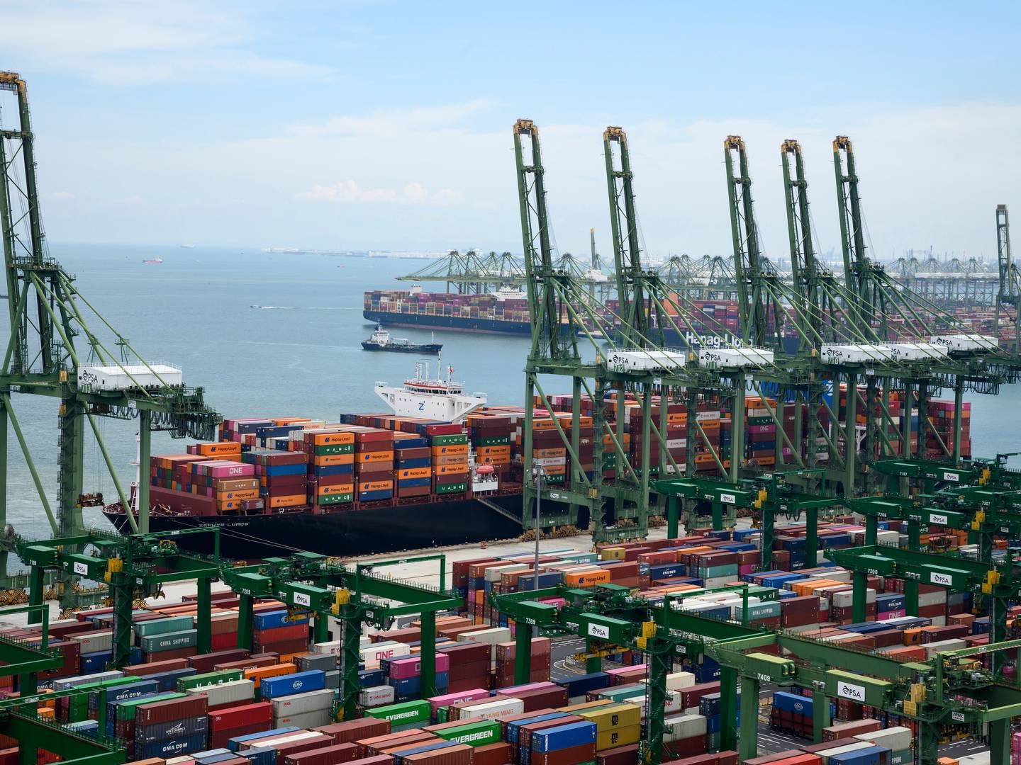 Containerhavnen i Singapore, hvor der arbejdes på at gøre samtlige slæbebåde og andre havnefartøjer elektriske. | Foto: Bernd Von Jutrczenka/AP/Ritzau Scanpix