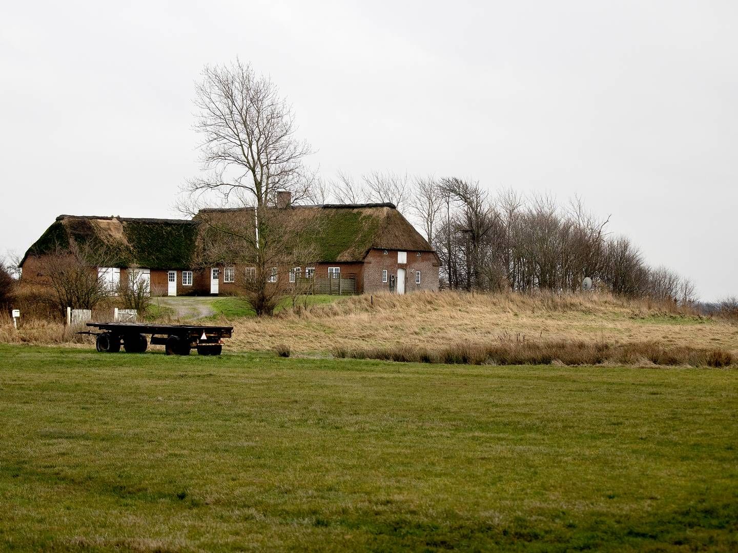 Forening blev stiftet med det klare formål at beholde sønderjysk landbrugsjord på danske hænder. | Foto: Finn Frandsen
