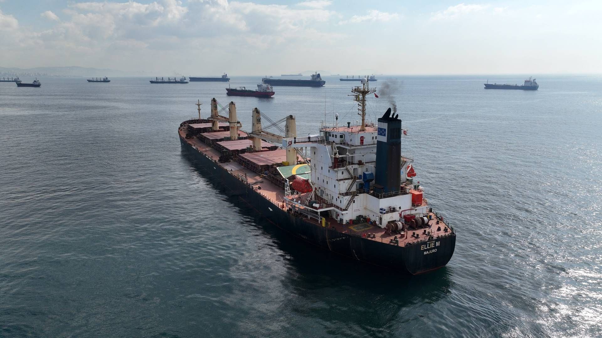 A dry bulk ship is waiting to be inspected at the Bosphorus Strait in Turkey. | Photo: Mehmet Caliskan/Reuters/Ritzau Scanpix