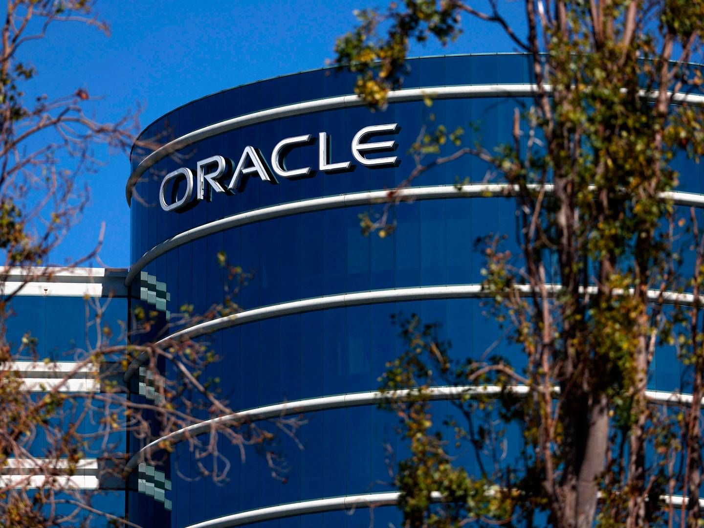 Oracles hovedkontor i Californien. | Foto: Justin Sullivan