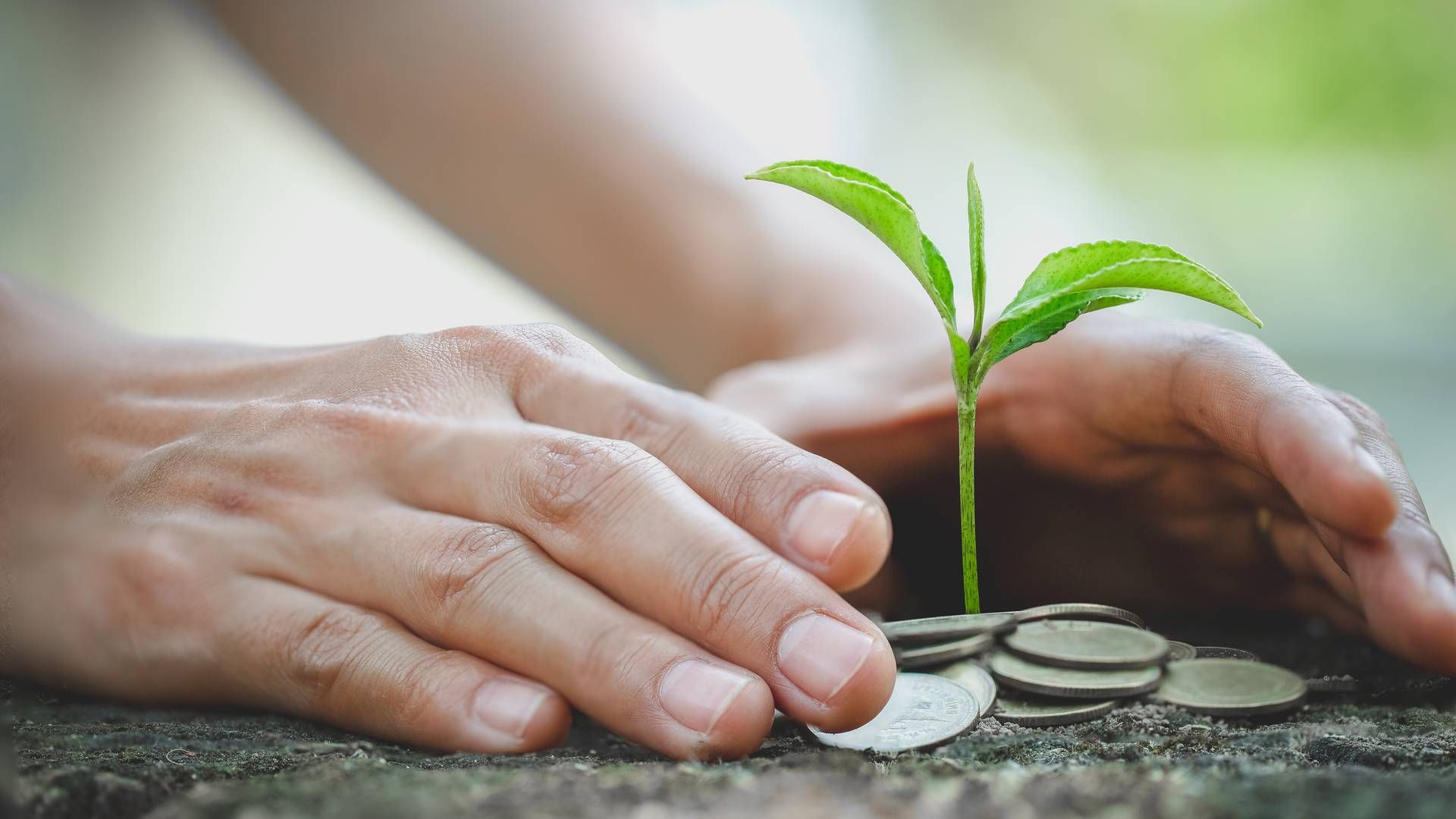 Grüne Investments fördern: EU-Mittel für den Mittelstand | Foto: Colourbox