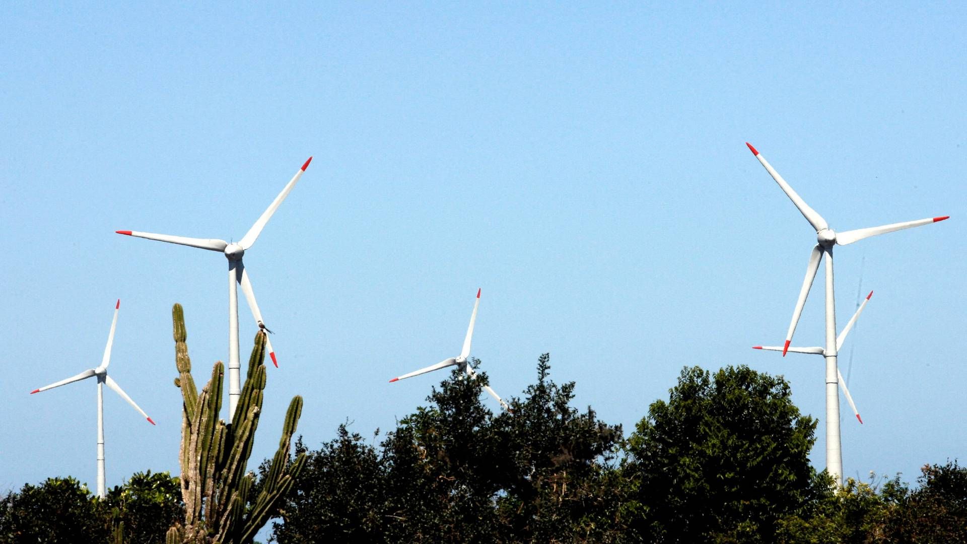 Alongside WEG, Petrobras will develop a wind turbine with a capacity of 7 MW. | Photo: Jamil Bittar