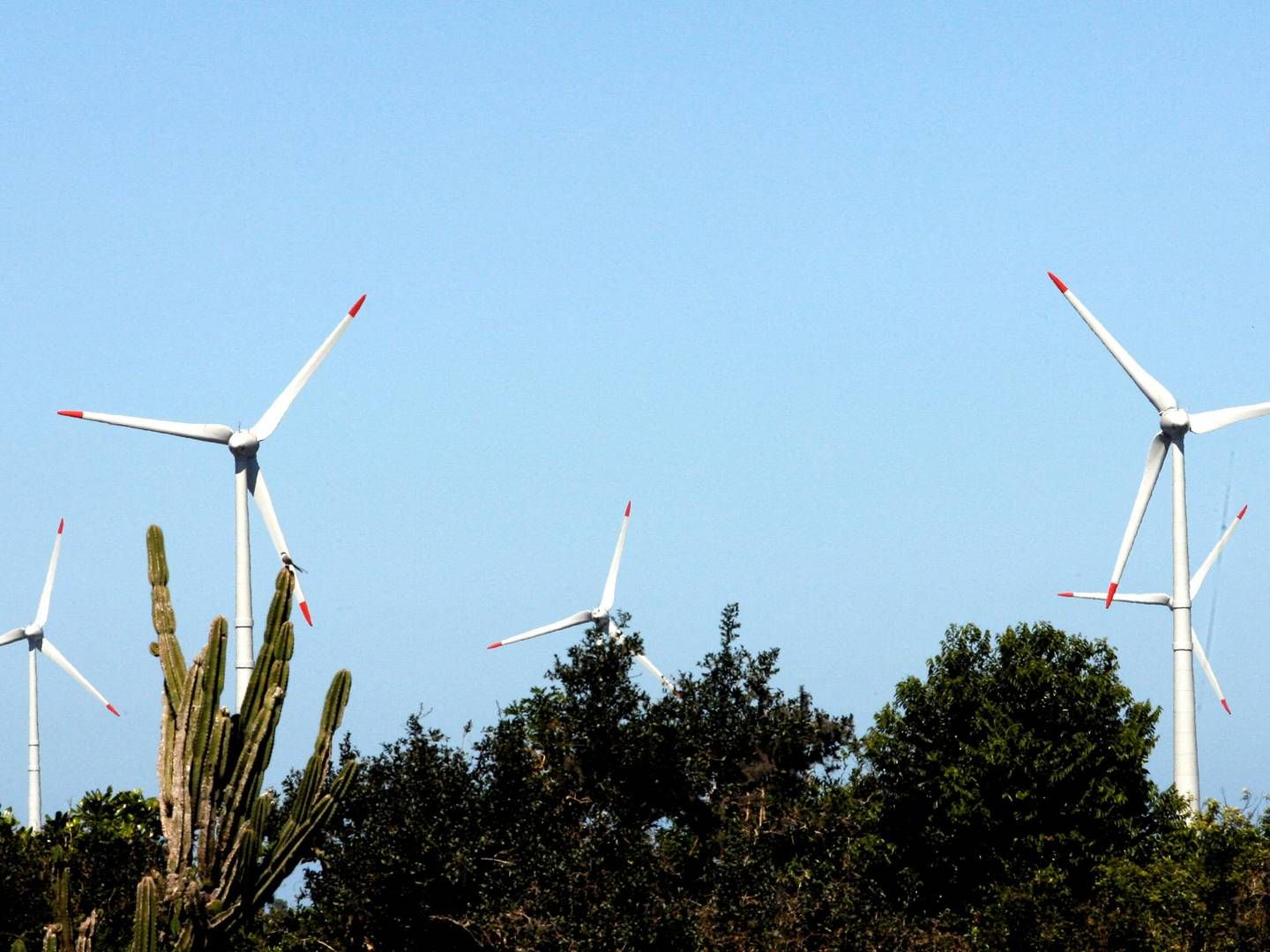 Alongside WEG, Petrobras will develop a wind turbine with a capacity of 7 MW. | Foto: Jamil Bittar