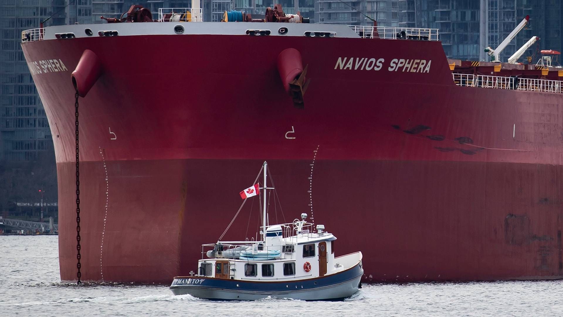 Navios Maritime Holdings sold its 36 vessels to Navios Maritime Partners last year. | Photo: Darryl Dyck/AP/Ritzau Scanpix