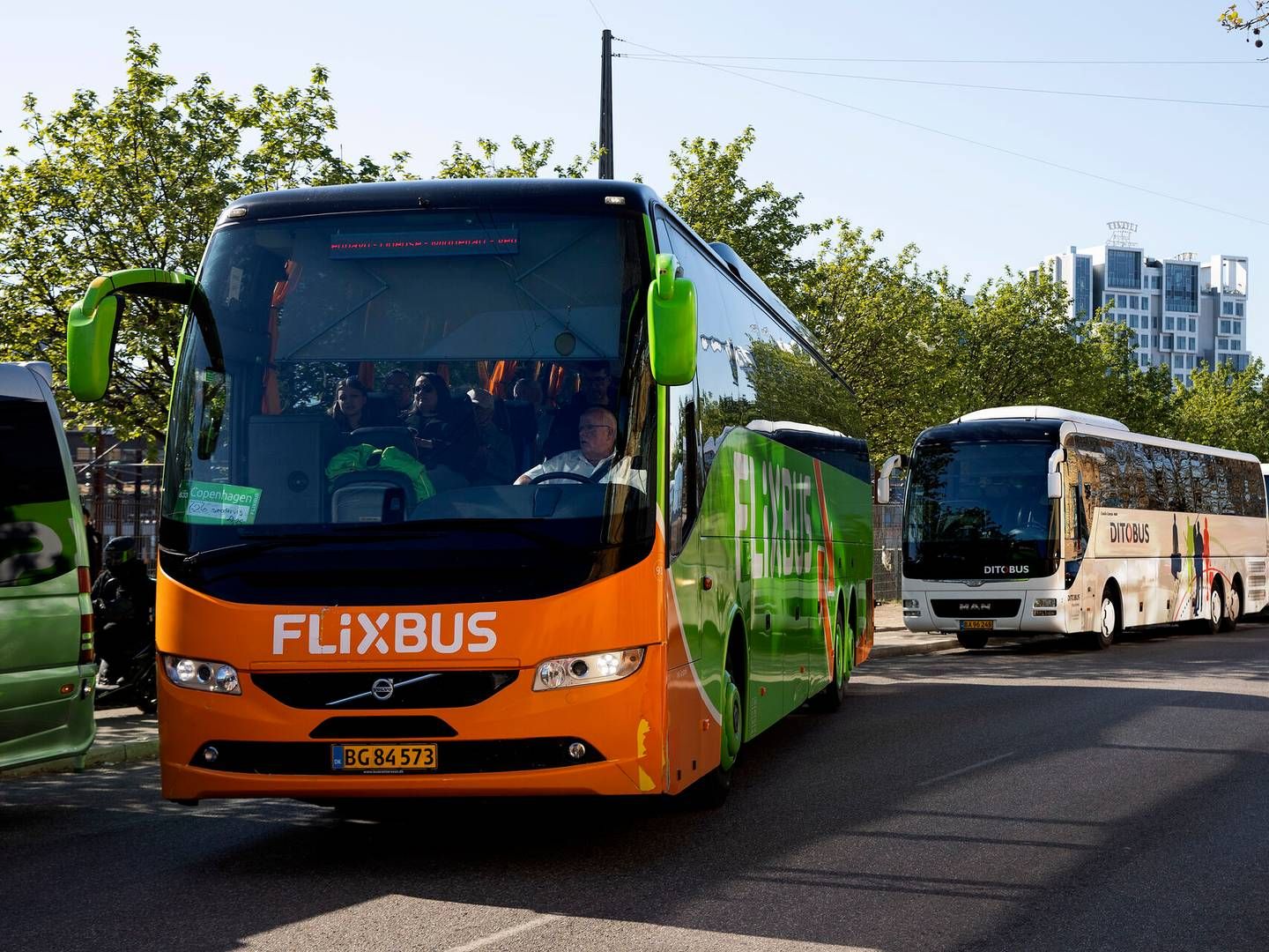 Flixbus kører blandt andet i Danmark. Men om gasbusserne skal køre her i landet vides endnu ikke. | Foto: Finn Frandsen/Ritzau Scanpix