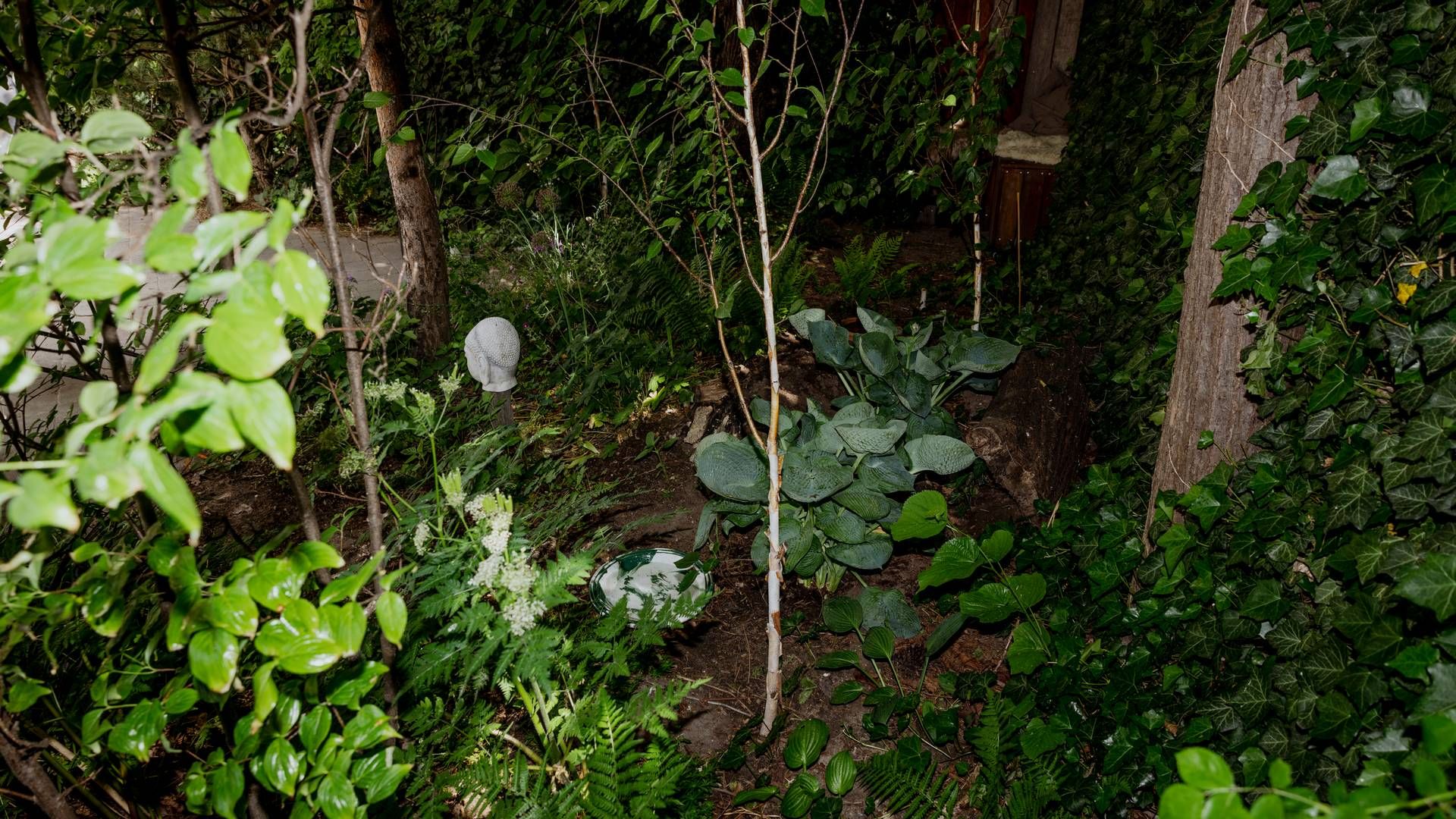 De største europæiske virksomheder skal rapportere om biodiversitet fra 2024. | Foto: Christian Falck Wolff