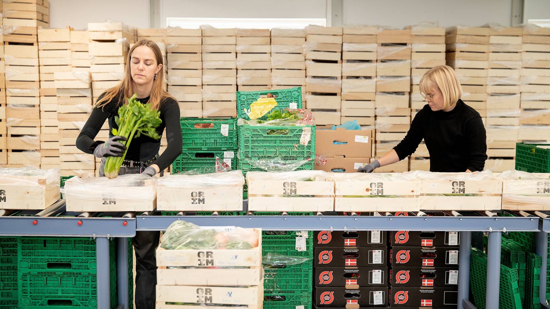 Virksomheden Eat Grim stopper forretningen inden for grøntsagskasser af grimme grøntsager. Efter konkurs i 2021 opstartede virksomheden igen i april 2022. Nu vil den fokusere kræfterne andetsteds. | Foto: Peter Hove Olesen