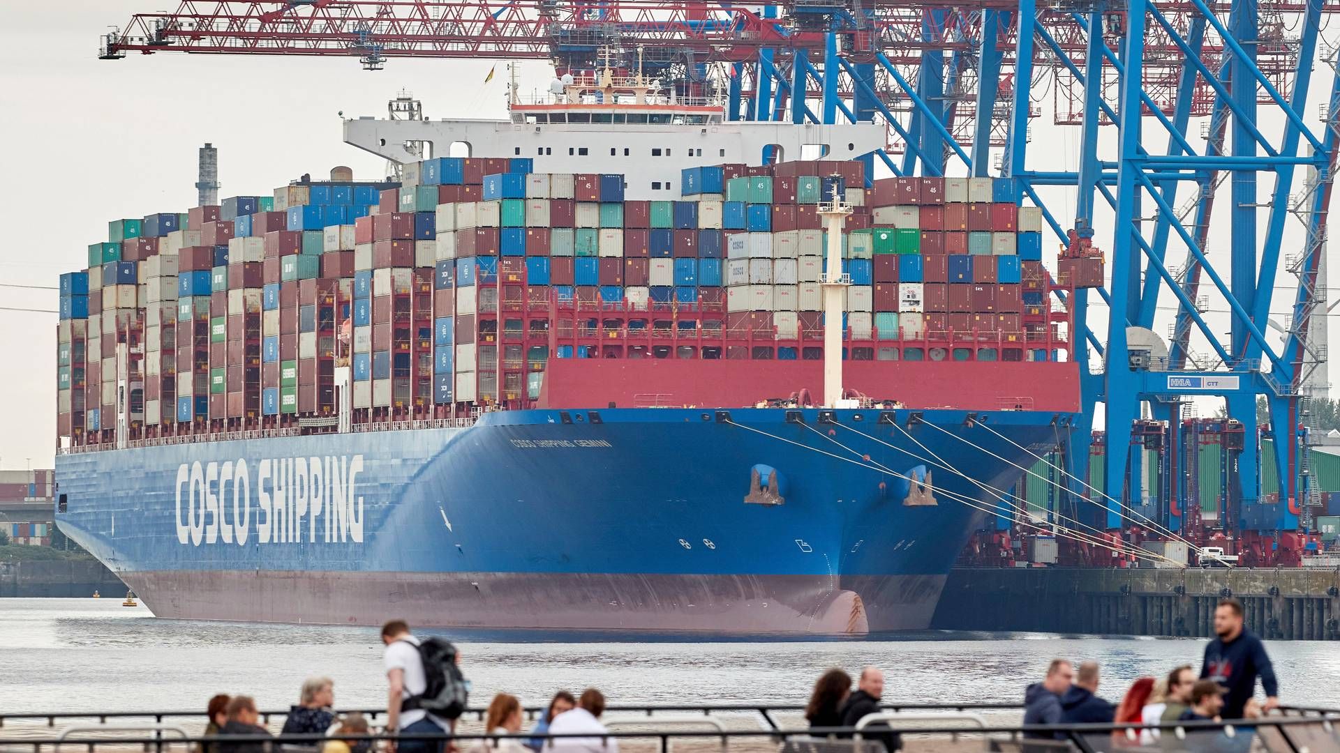 Cosco Shipping Ports' køb i juni af en andel i Tollerort-terminalen i Hamborg er det seneste kinesiske indtog i europæiske havne. | Foto: Georg Wendt/AP/Ritzau Scanpix