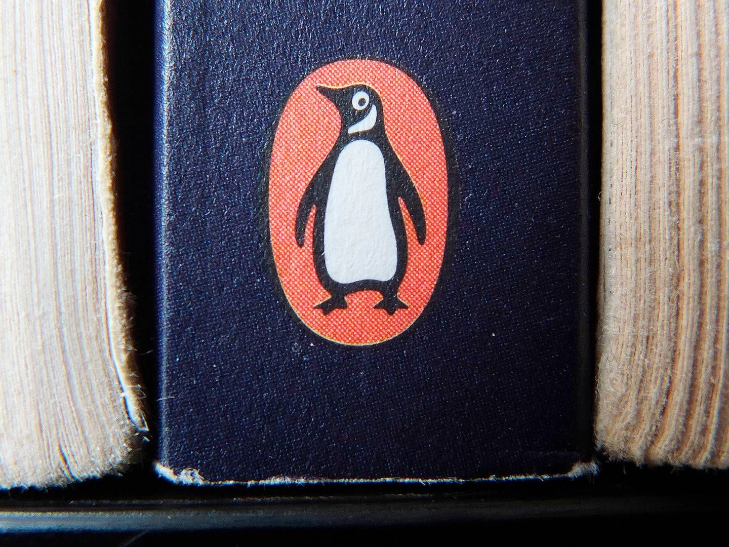 Nihar Malaviya er blevet udnævnet som ny topchef for Penguin Random House på fast basis. | Foto: Tim Ireland/AP/Ritzau Scanpix