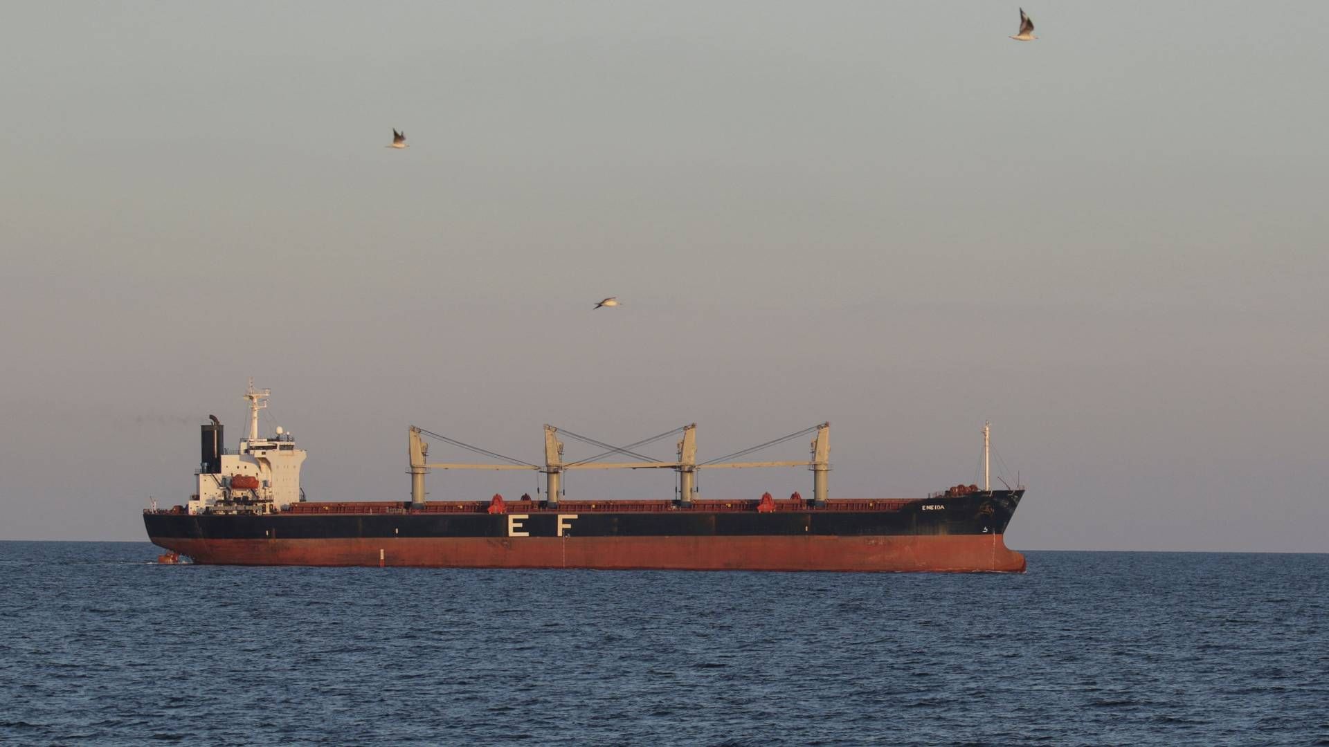 Forsendelsen er nået i sikkert farvand trods russiske trusler om at angribe skibe, der bevæger sig fra Ukraine. | Foto: Stringer