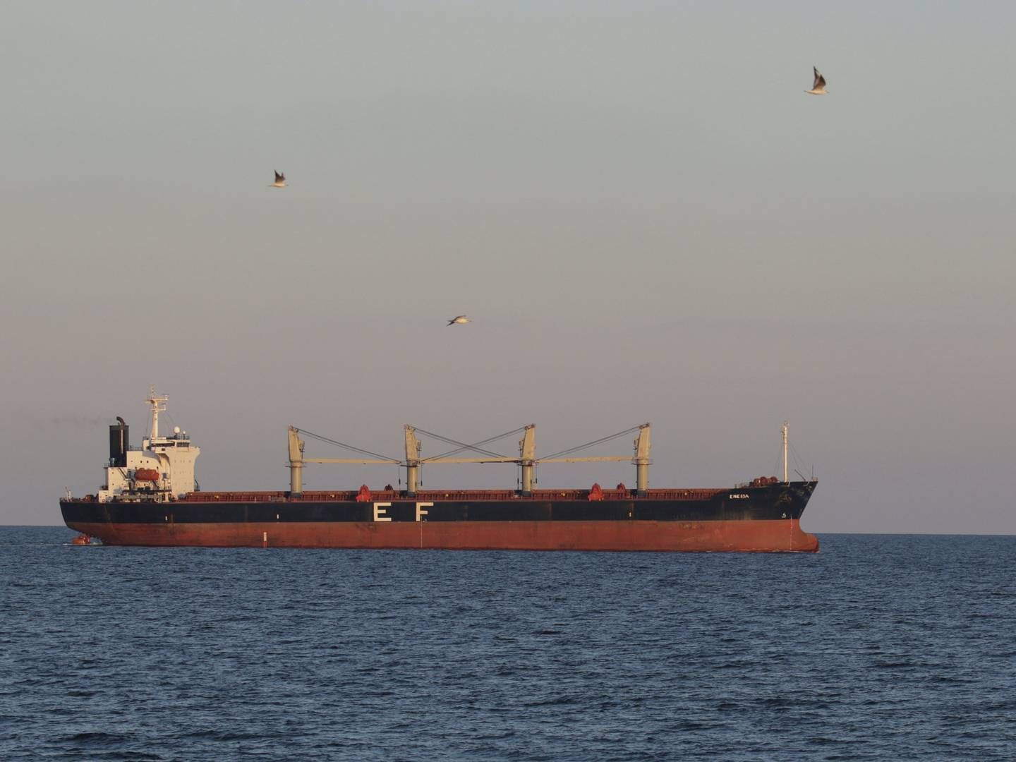 Forsendelsen er nået i sikkert farvand trods russiske trusler om at angribe skibe, der bevæger sig fra Ukraine. | Photo: Stringer