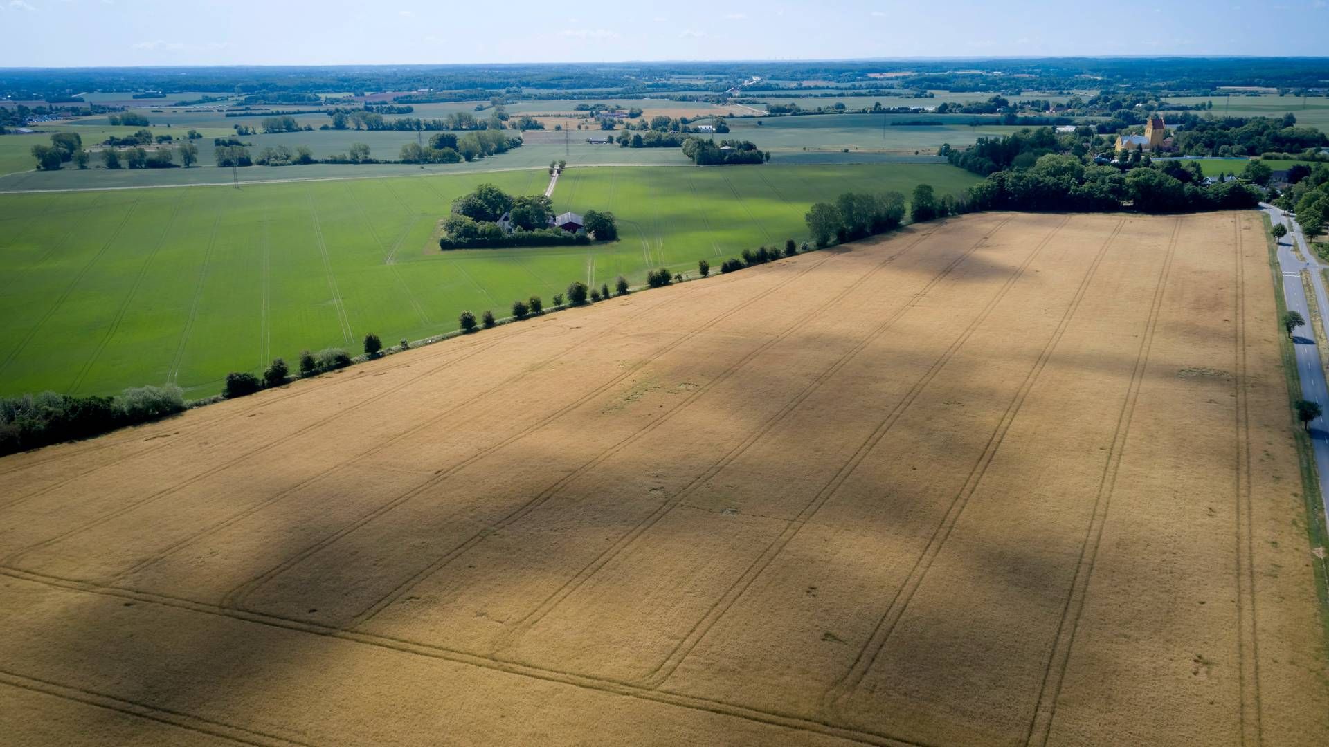 "Det er landbrug og transport, som er de helt store udfordringer i Danmark og langt det meste af Europa,” siger Signe Munk (SF). | Foto: Jens Dresling