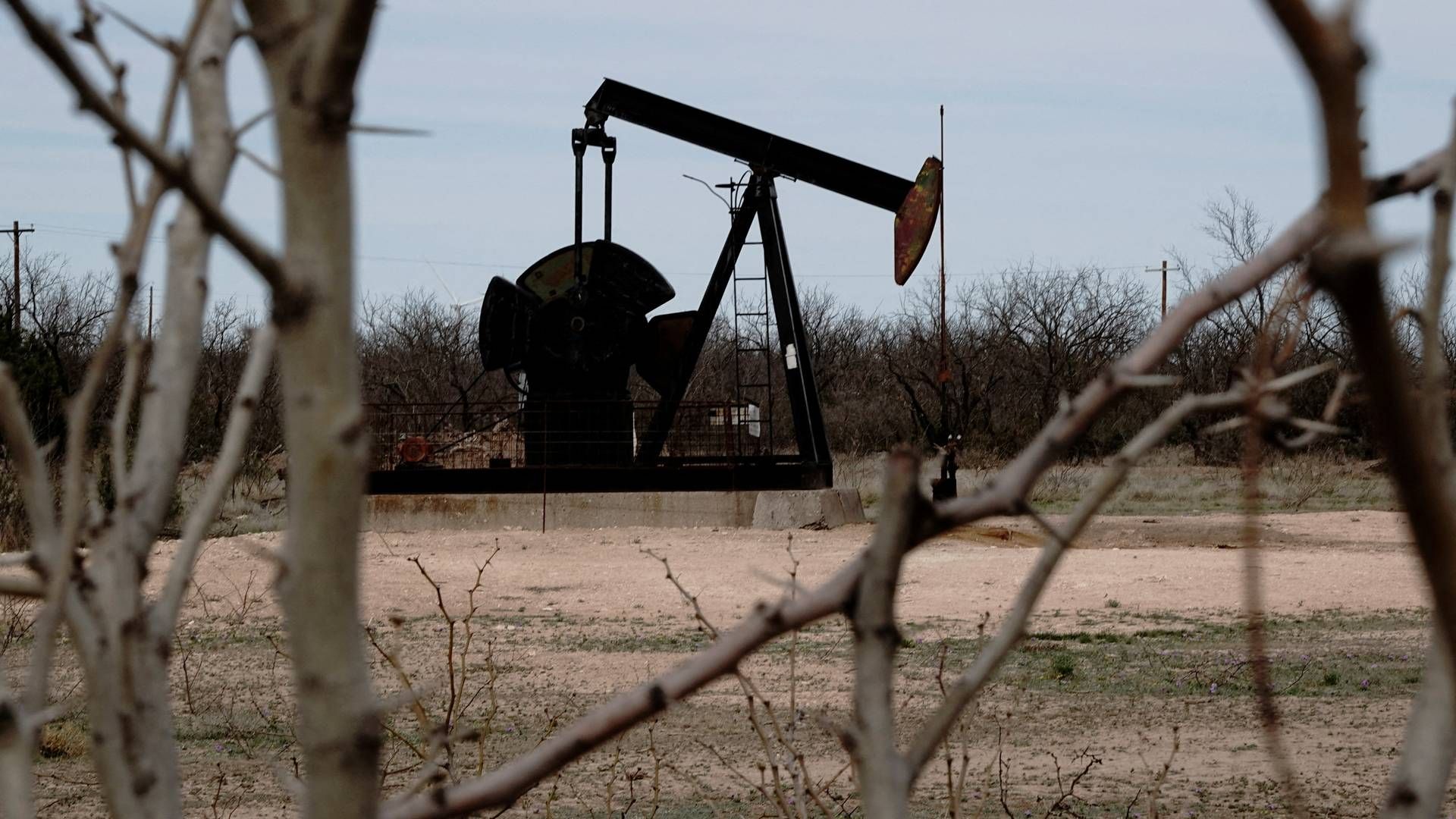 Oliepriserne har oplevet en stigning på mere en 10 pct. i de seneste tre uger oven på forventninger om et stramt udbud i fjerde kvartal. | Foto: Bing Guan