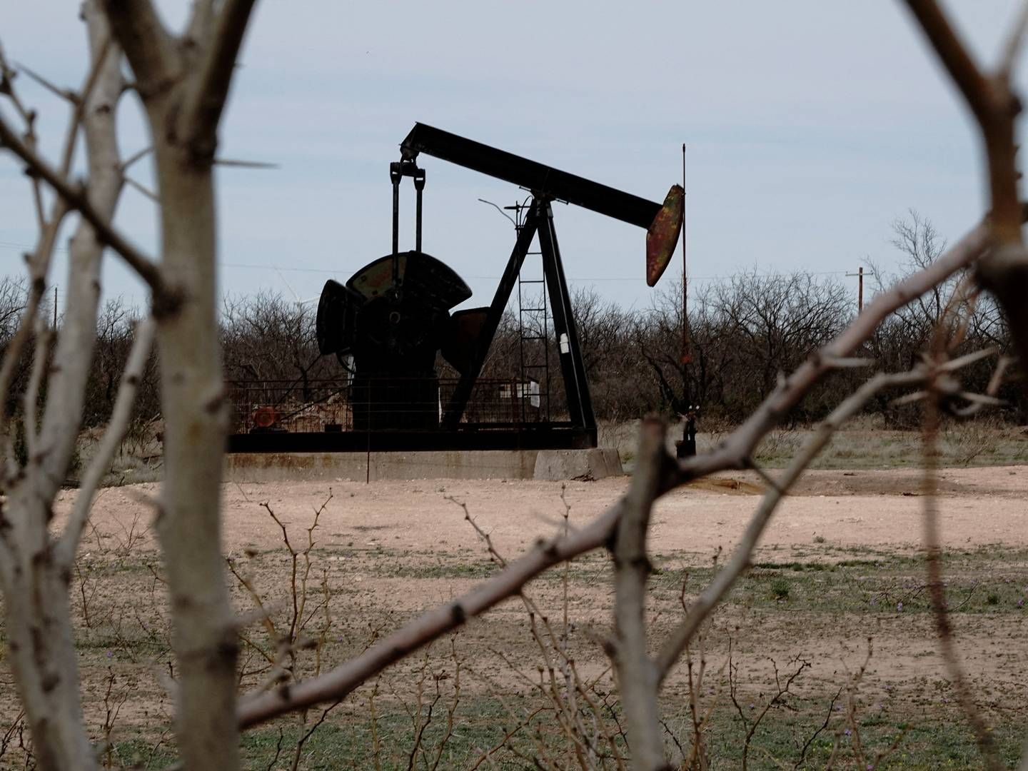 Oliepriserne har oplevet en stigning på mere en 10 pct. i de seneste tre uger oven på forventninger om et stramt udbud i fjerde kvartal. | Foto: Bing Guan