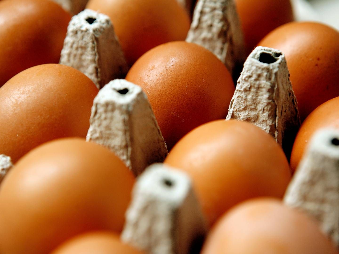 Styrelsens ansatte vil frem mod nytår kontrollere omkring 200 private sælgere af æg, mælk og kød. | Foto: Thomas Borberg