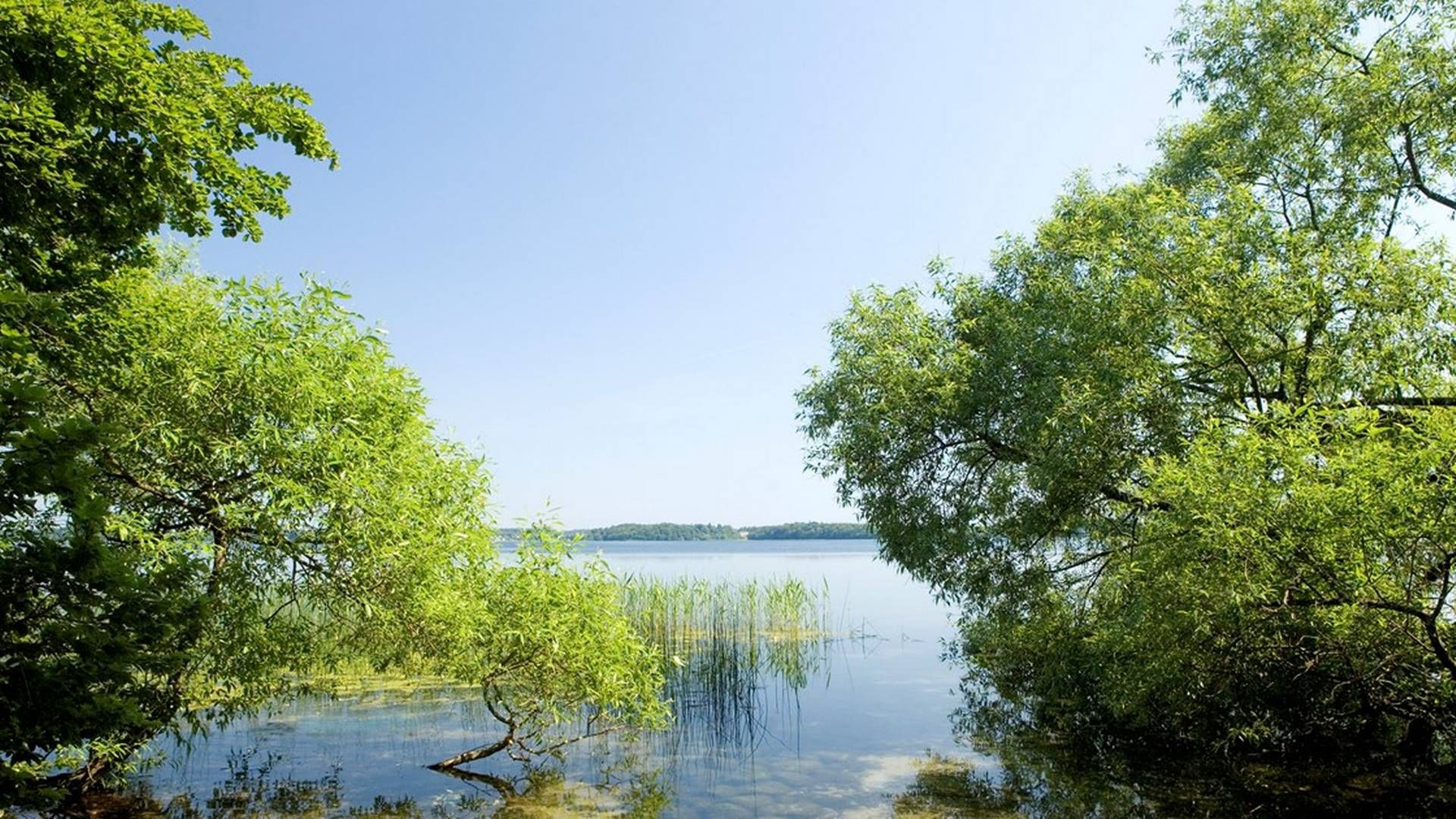 Furesøen er Danmarks dybeste sø. Dens dybde gør, at vandet i områder har en konstant temperatur på mellem fire og 10 grader. | Foto: Furesø Kommune