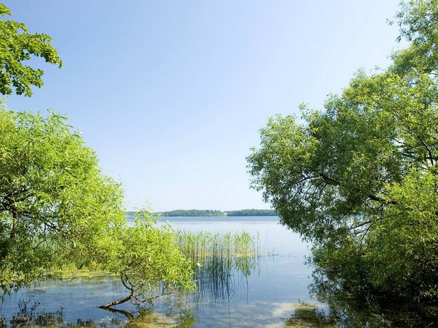 Furesøen er Danmarks dybeste sø. Dens dybde gør, at vandet i områder har en konstant temperatur på mellem fire og 10 grader. | Photo: Furesø Kommune