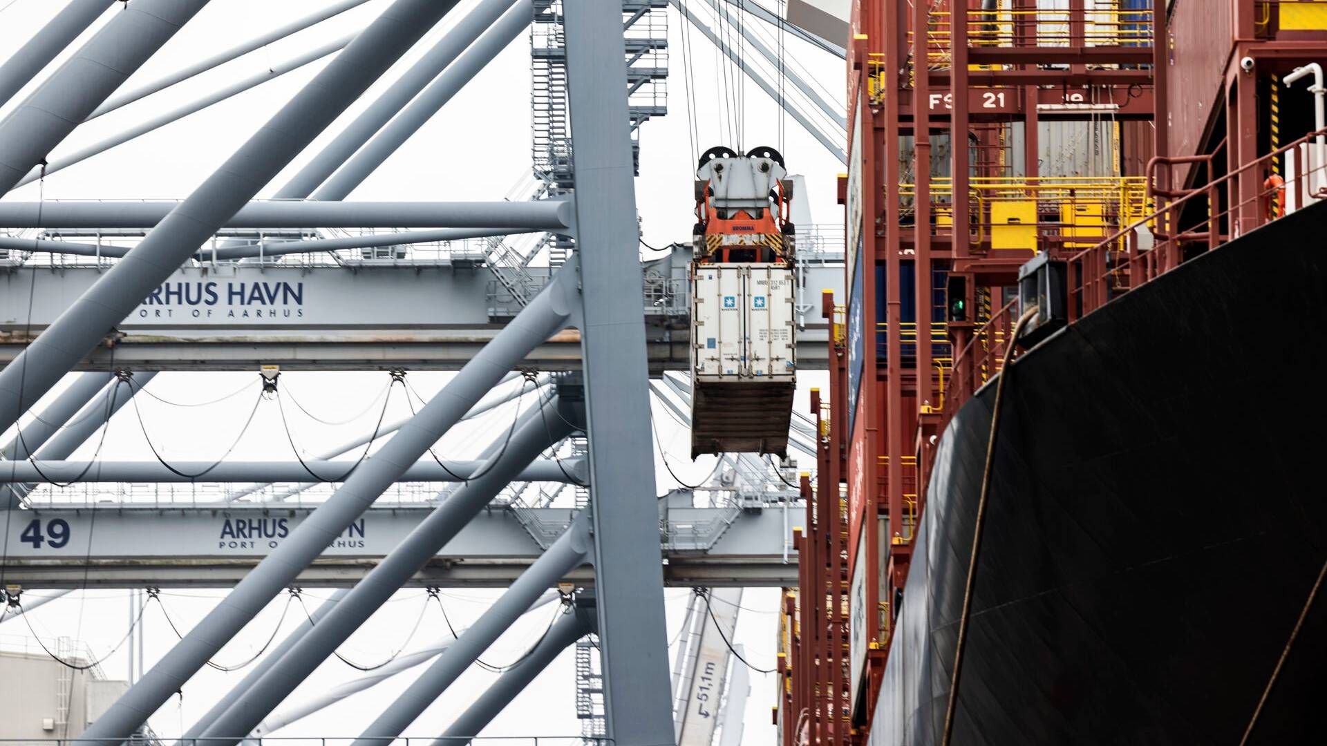 APM Terminals ønsker at kunne stille krav om sikkerhedsgodkendelser for, at man kan arbejde på havnen. | Foto: Casper Dalhoff/Ritzau Scanpix