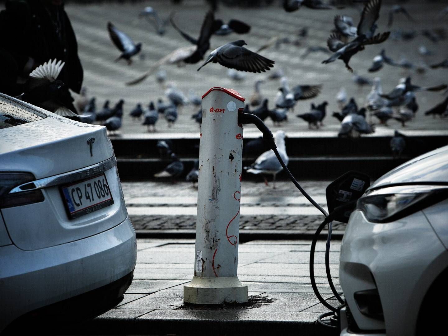 Kampen om markedet for elbiler kan være det, som ifølge en storvalter får EU til at starte en handelskrig med Kina. | Foto: Martin Lehmann/Ritzau Scanpix