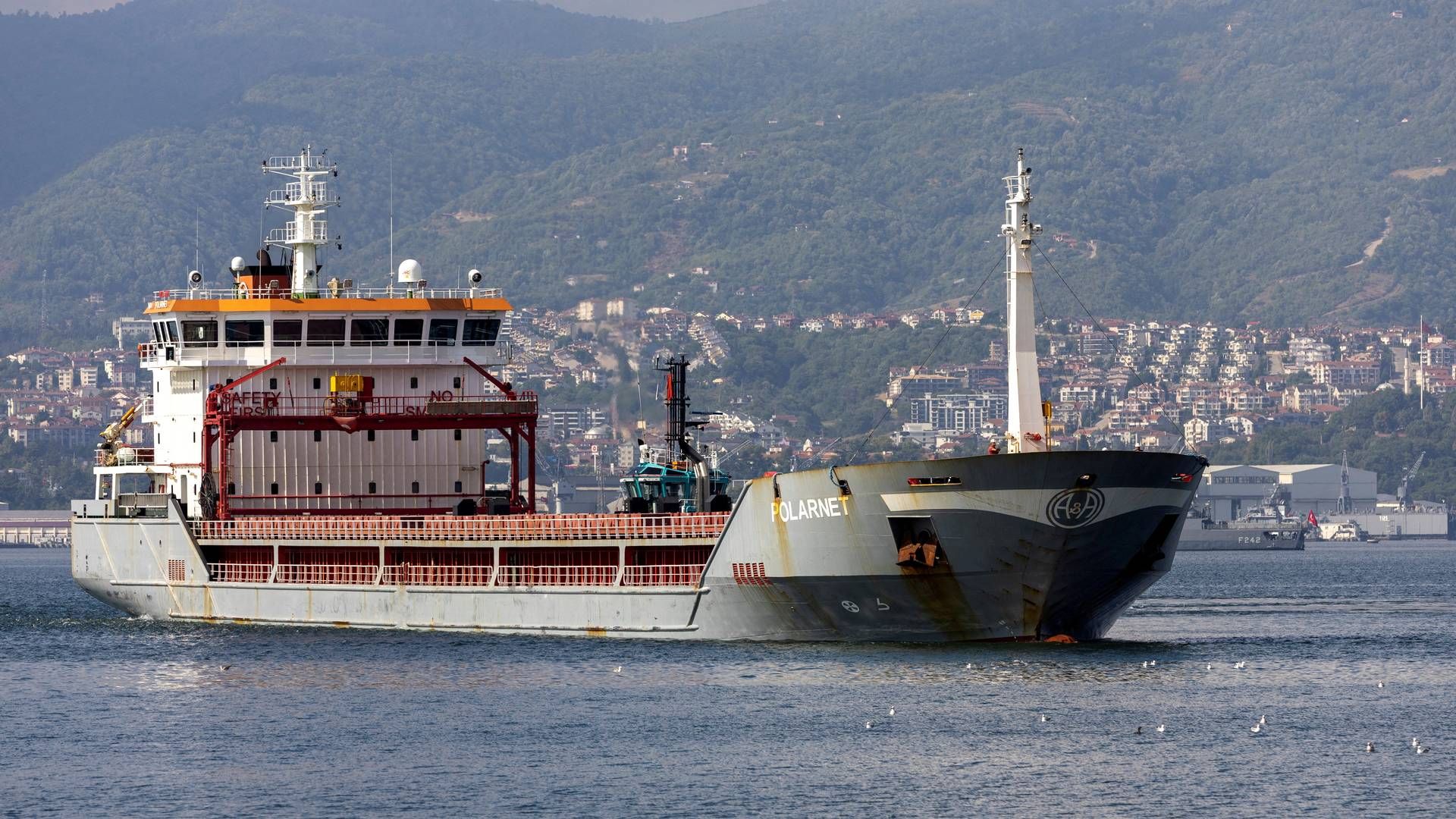 A dry cargo ship arrives in Turkey with a load of Ukrainian grain. | Photo: Umit Bektas/Reuters/Ritzau Scanpix