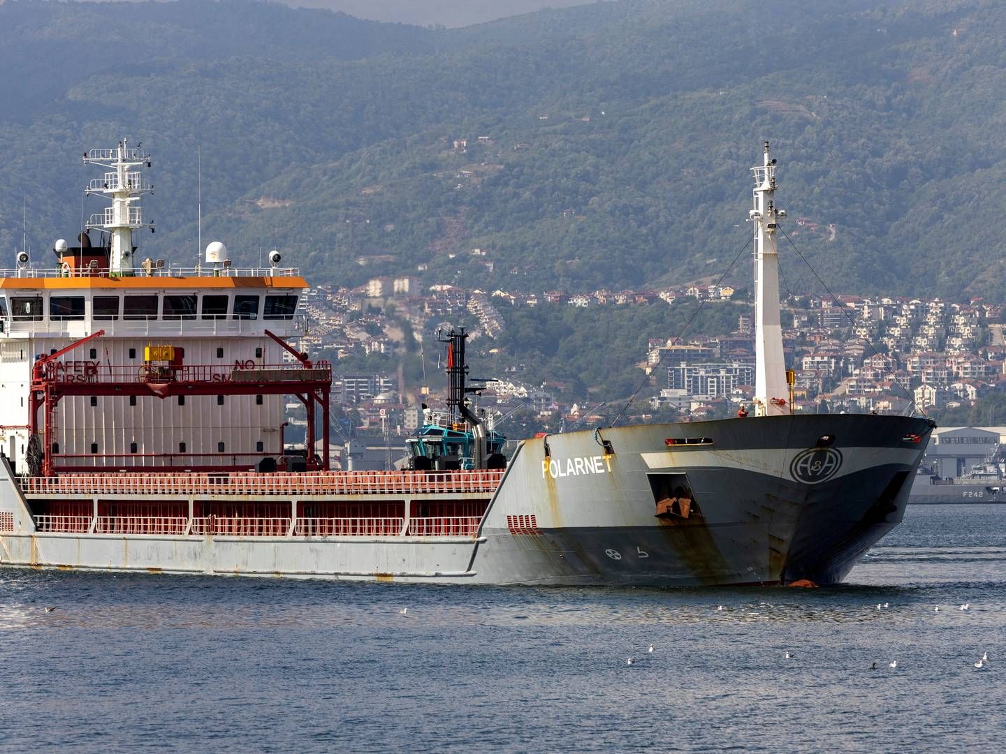 Et tørlastskib ankommer i Tyrkiet med en last ukrainsk korn. | Foto: Umit Bektas/Reuters/Ritzau Scanpix