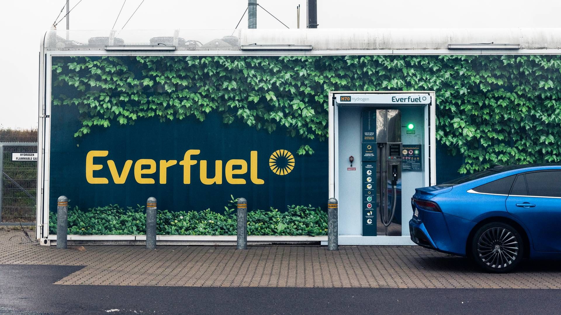Everfuel ejer 51 pct., mens den franske fond ejer 49 pct. af det nye joint venture, der med 200 mio. nu kan begynde at finansiere udviklingen af elektrolysekapacitet i Norden | Foto: Anders Holst Pedersen/Ritzau Scanpix